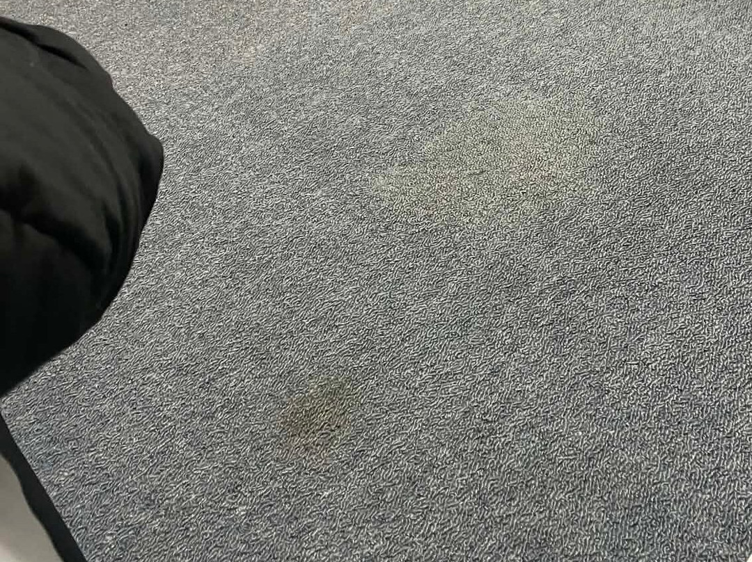 Thornton Lodge Motel主图