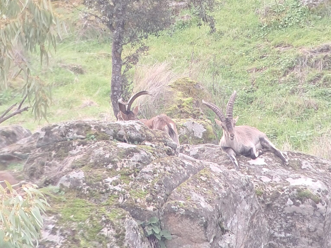 Lyncis Ecoturismo Y Medioambiente-Guarroman必去景点
