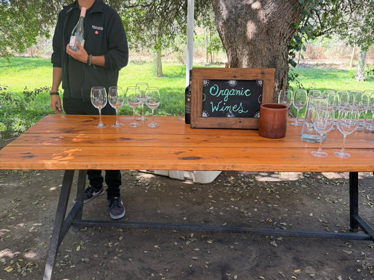 Emiliana Organic Vineyards-卡萨布兰卡必去景点