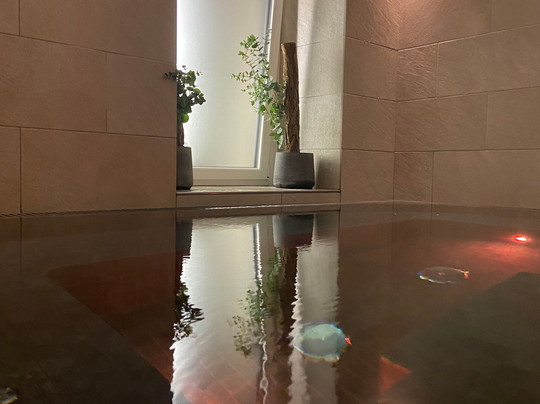 阿尔平戈珍酒店主图