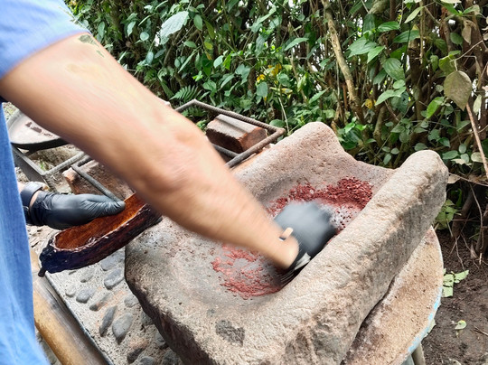 Mindo Maya Chocolate-明多必去景点