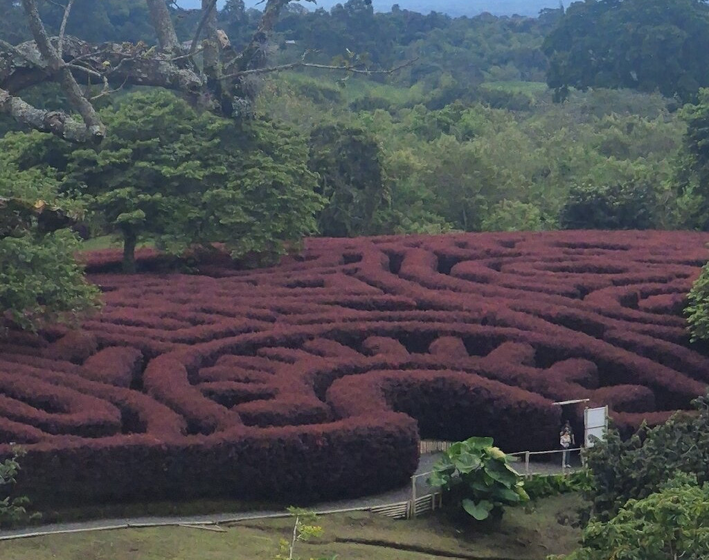 Laberinto Mil Caminos-Quimbaya必去景点