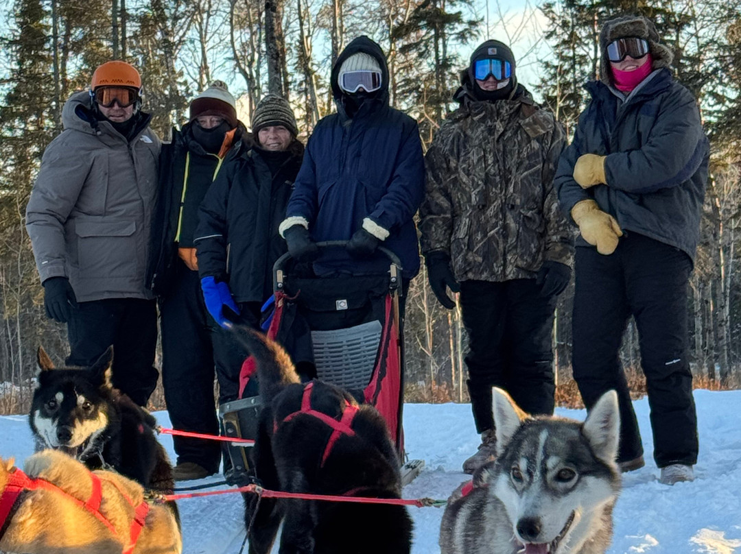 Chilly Dogs Sled Dog Trips-伊利必去景点