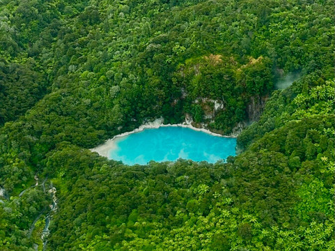 The Road Trip-奥克兰中心地区必去景点