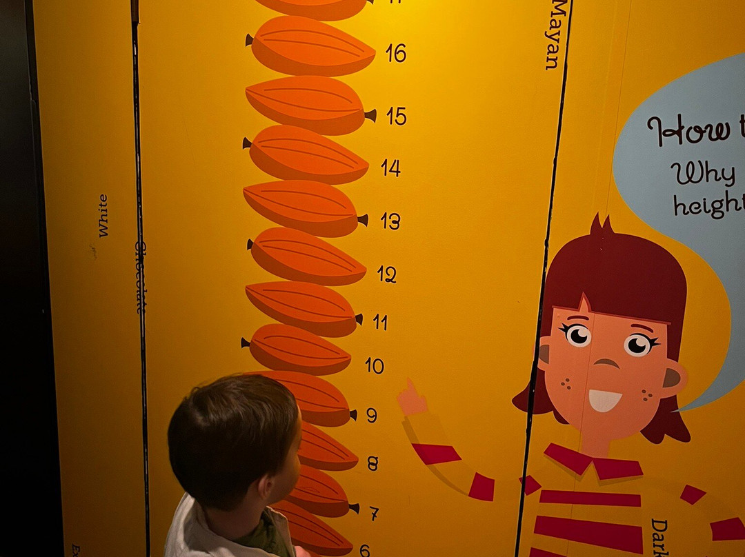 Butlers The Factory Tour-都柏林必去景点