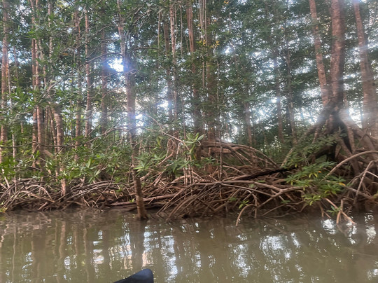 Pineapple Tours-主日镇必去景点