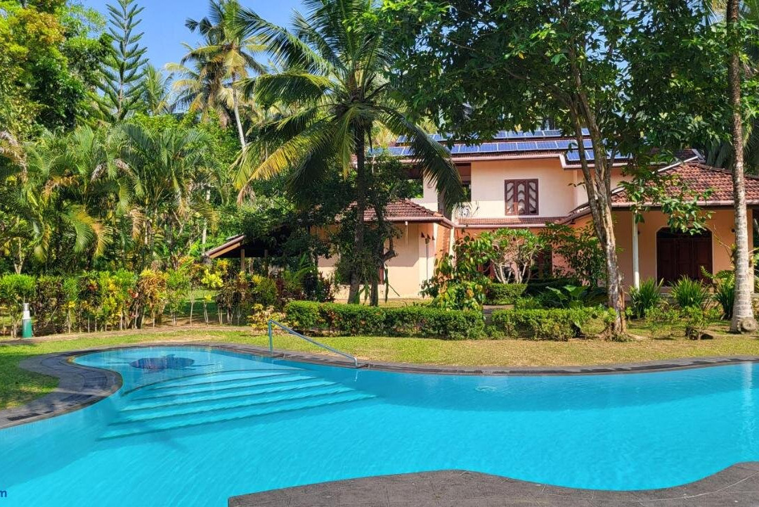 King Coconut Lodge