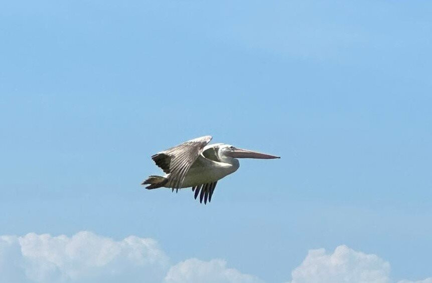 Green Eye Lanka-Pugoda必去景点