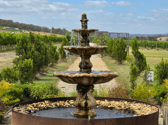 Local Way Tours-墨尔本必去景点