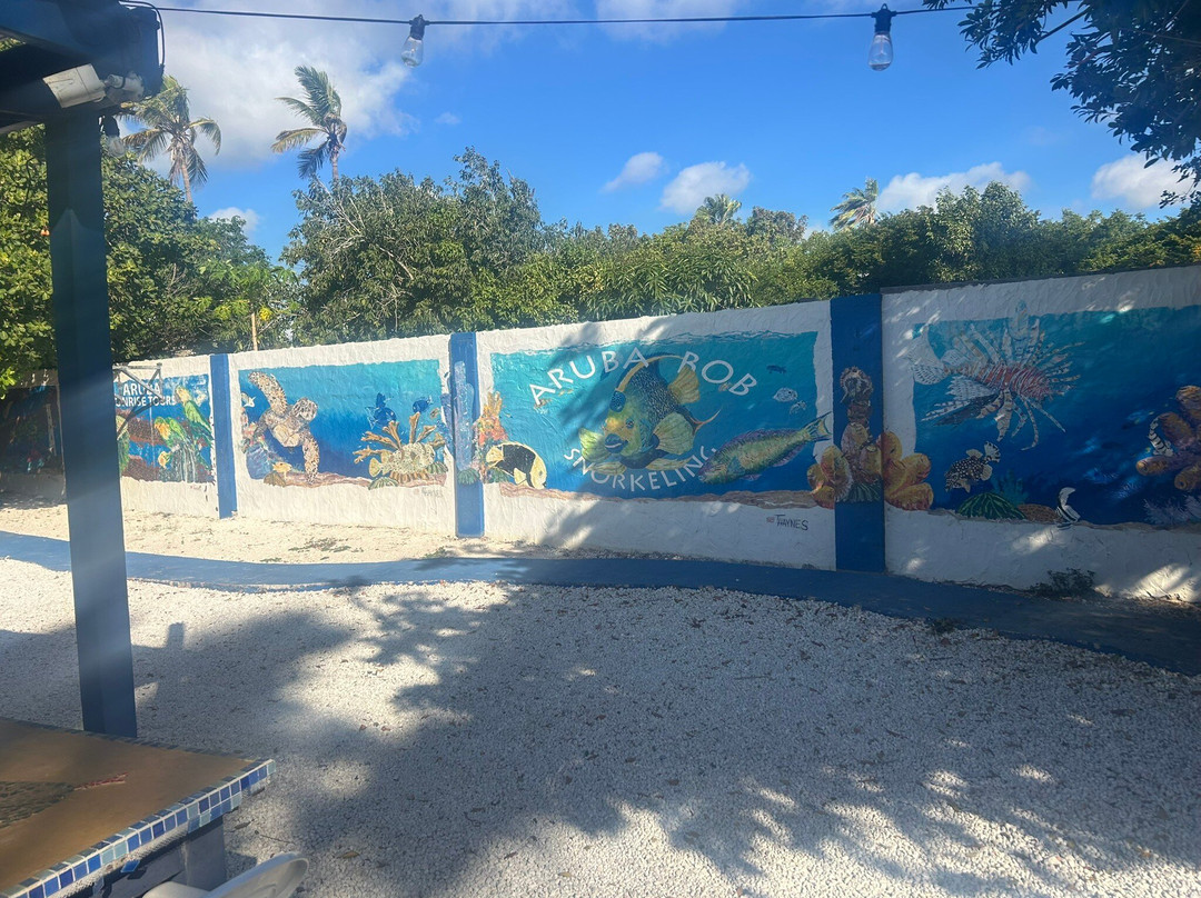Aruba Bob Snorkel & Scuba-阿鲁巴岛必去景点
