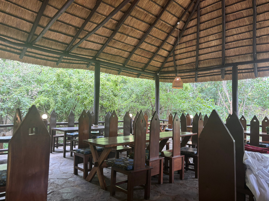 Asante Bibi Safaris And Tours-莫西必去景点