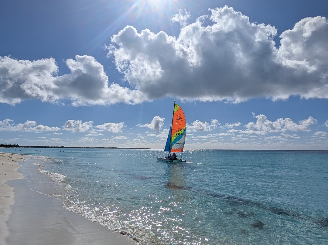 Starfish Cayo Largo主图