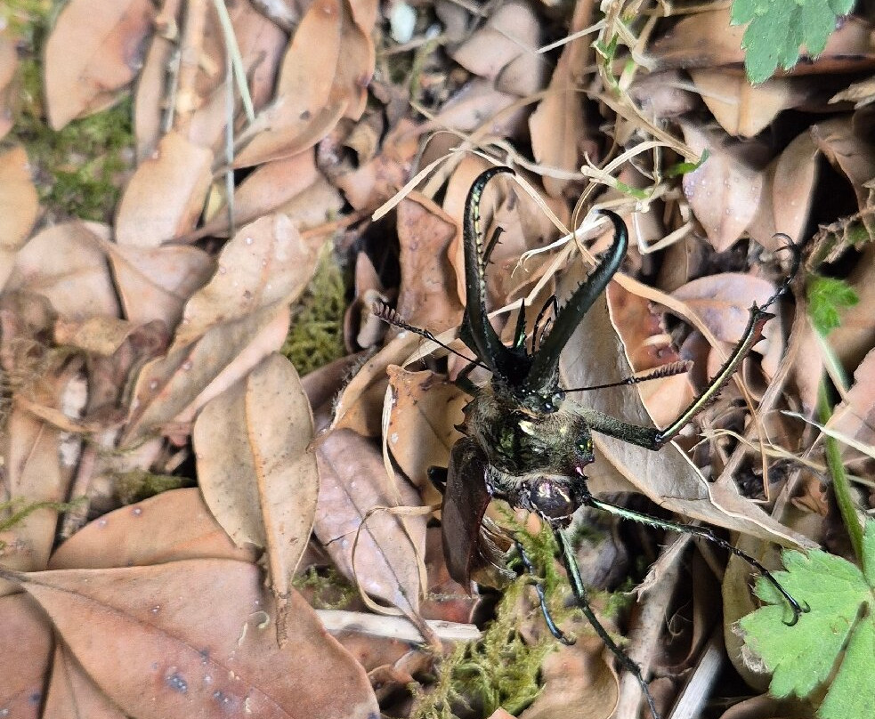 Parque Aiken del Sur-Puerto Chacabuco必去景点