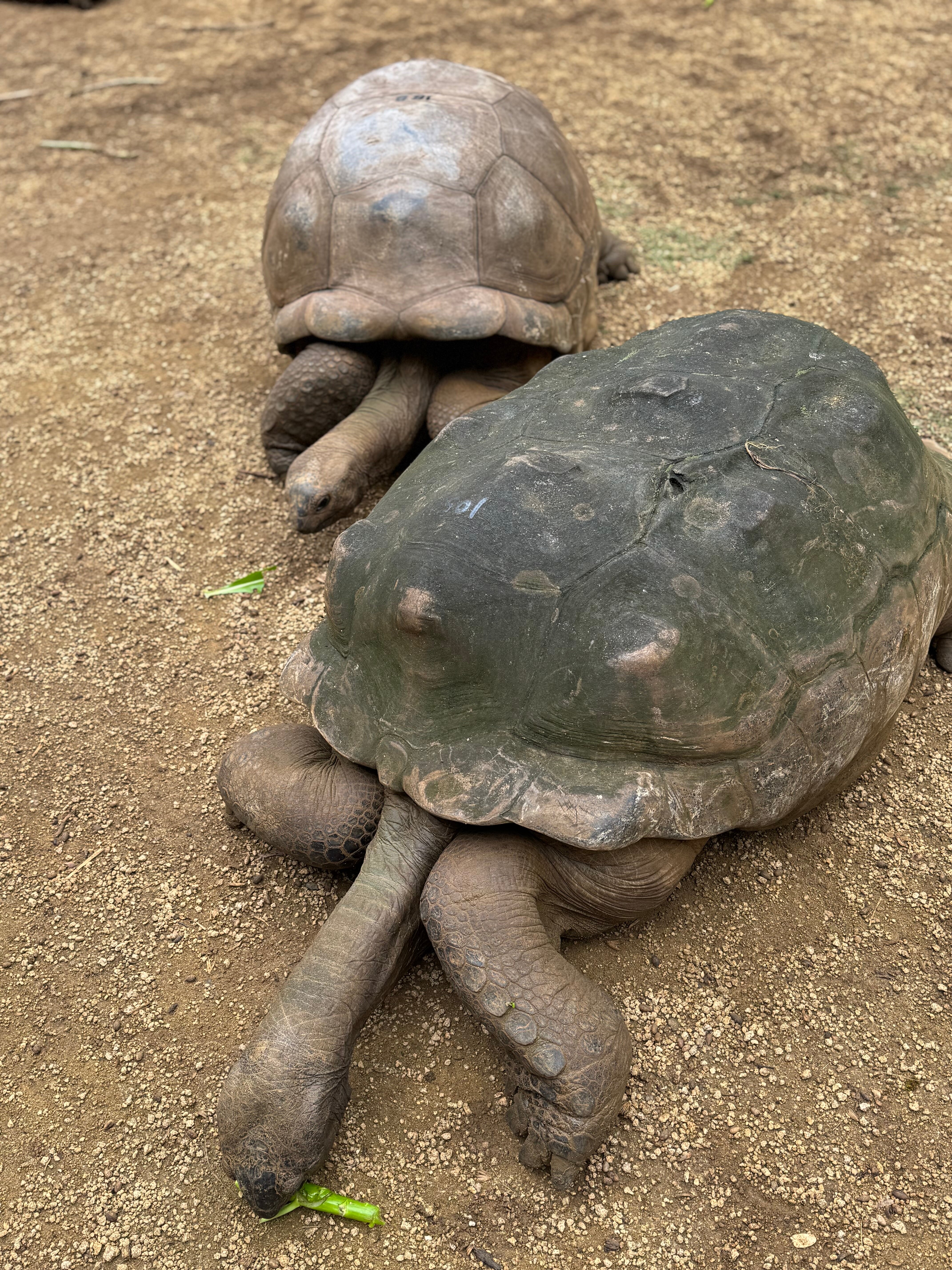 昂布尔度假酒店-官方