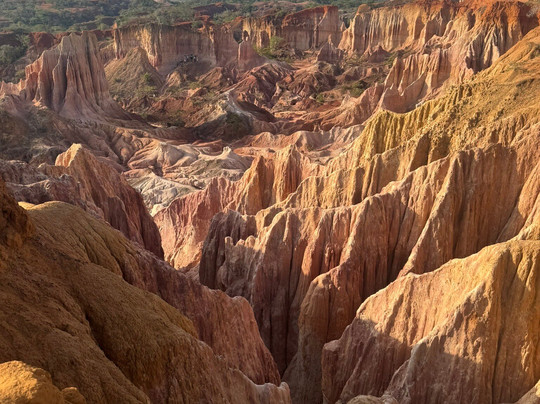 Jambo Life Safari-瓦塔木必去景点