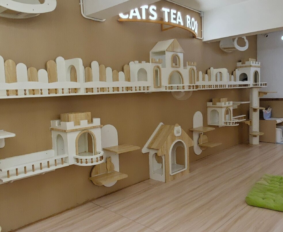 猫之茶房-香港必去景点