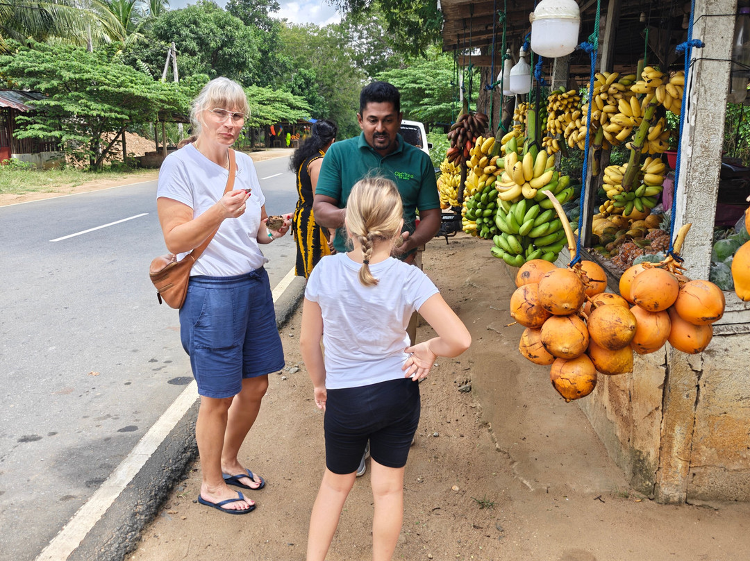 Different Discovery Tours-卡图纳耶克必去景点