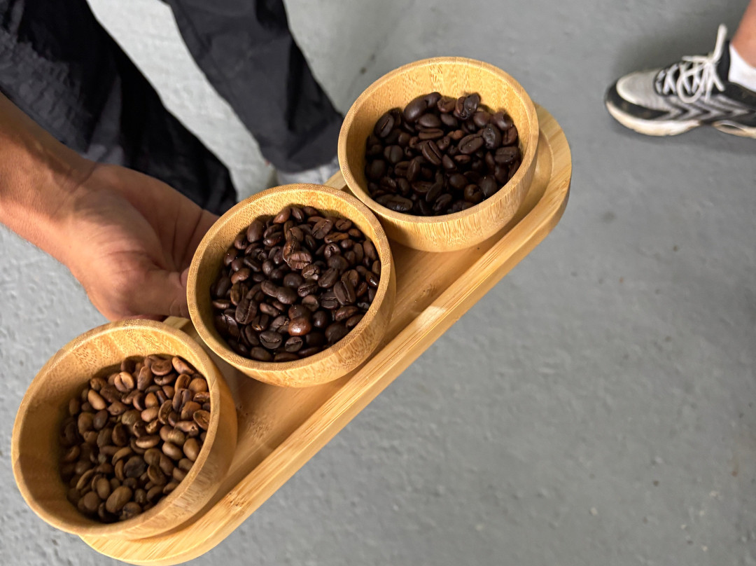 NexusTours-圣何塞必去景点