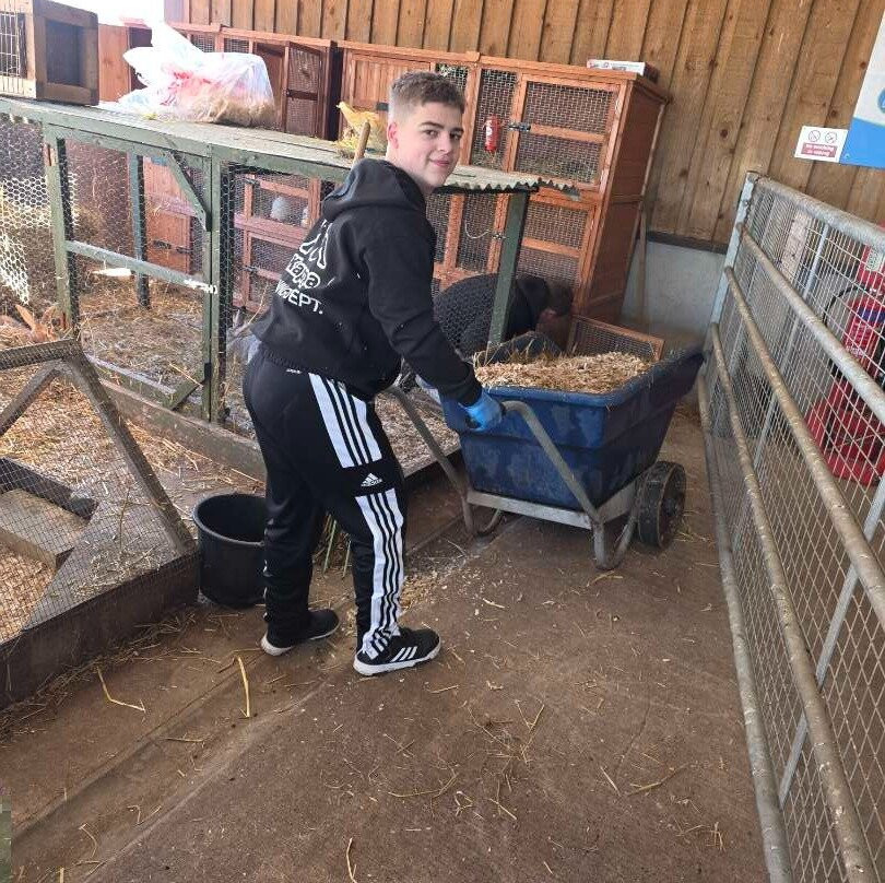 Amerton Farm-斯塔福德必去景点