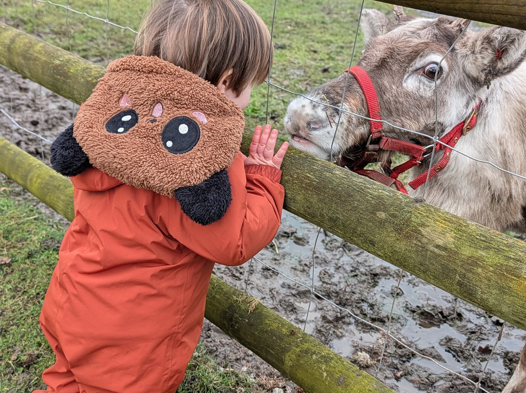 Woodlands Alpaca Farm-沃灵顿必去景点