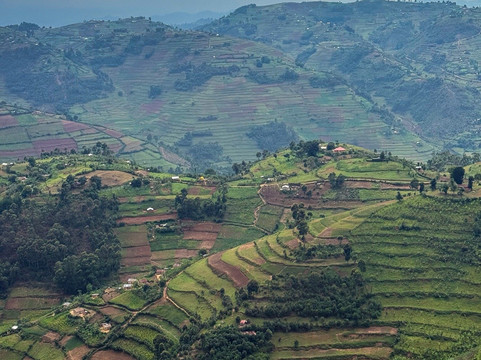 Unveil Uganda safaris-恩德培必去景点