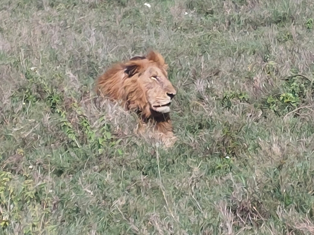 Tanzania Specialist-阿鲁沙必去景点