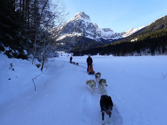 Fischer Adventures Day Tours-圣加仑必去景点