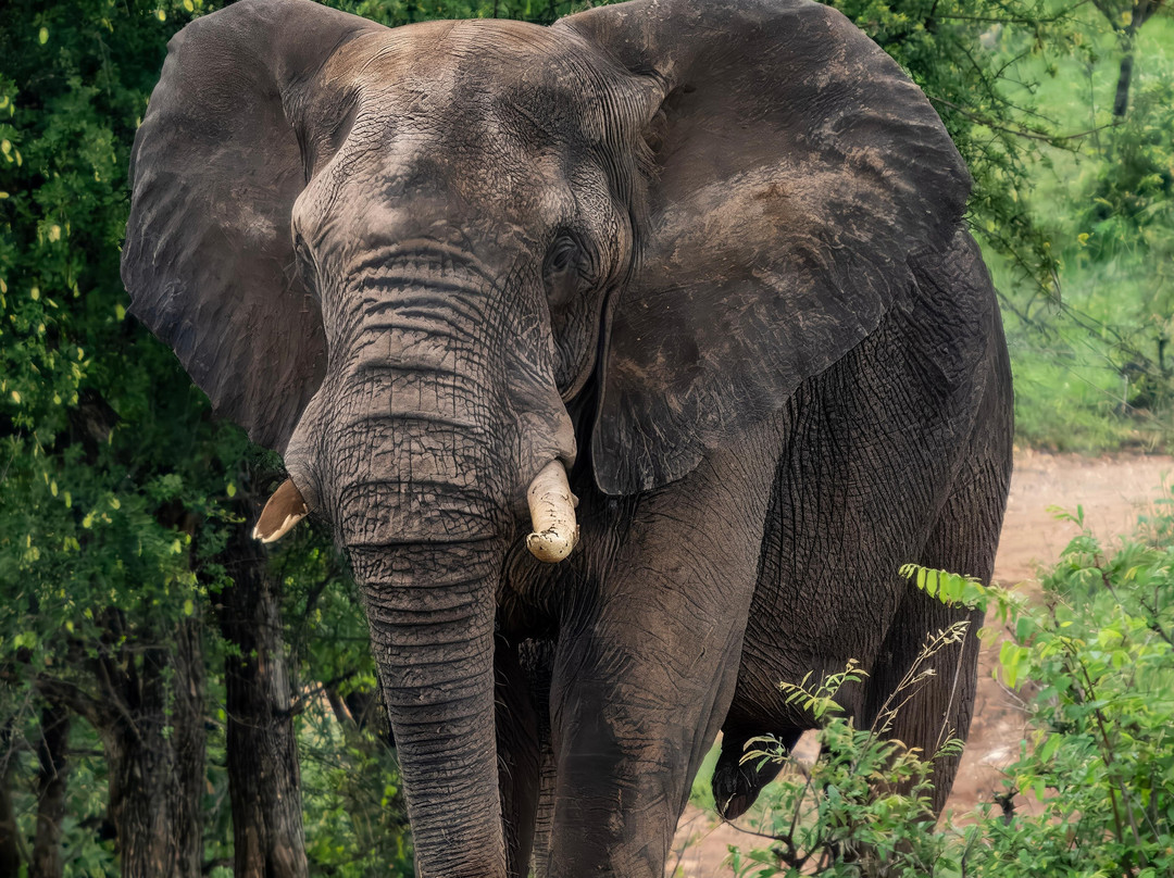 EverseenAfrica-霍德斯普鲁特必去景点