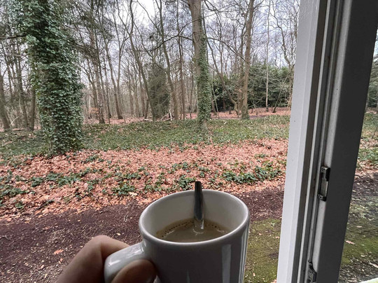 金色郁金香酒店主图