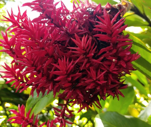 Jardin Botanique de Valombreuse-Petit-Bourg必去景点