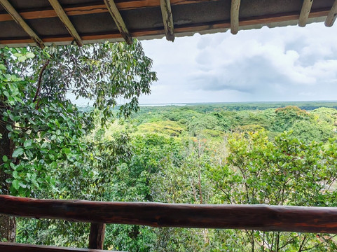 Arena Tours Excursiones-拉斯特拉纳斯必去景点