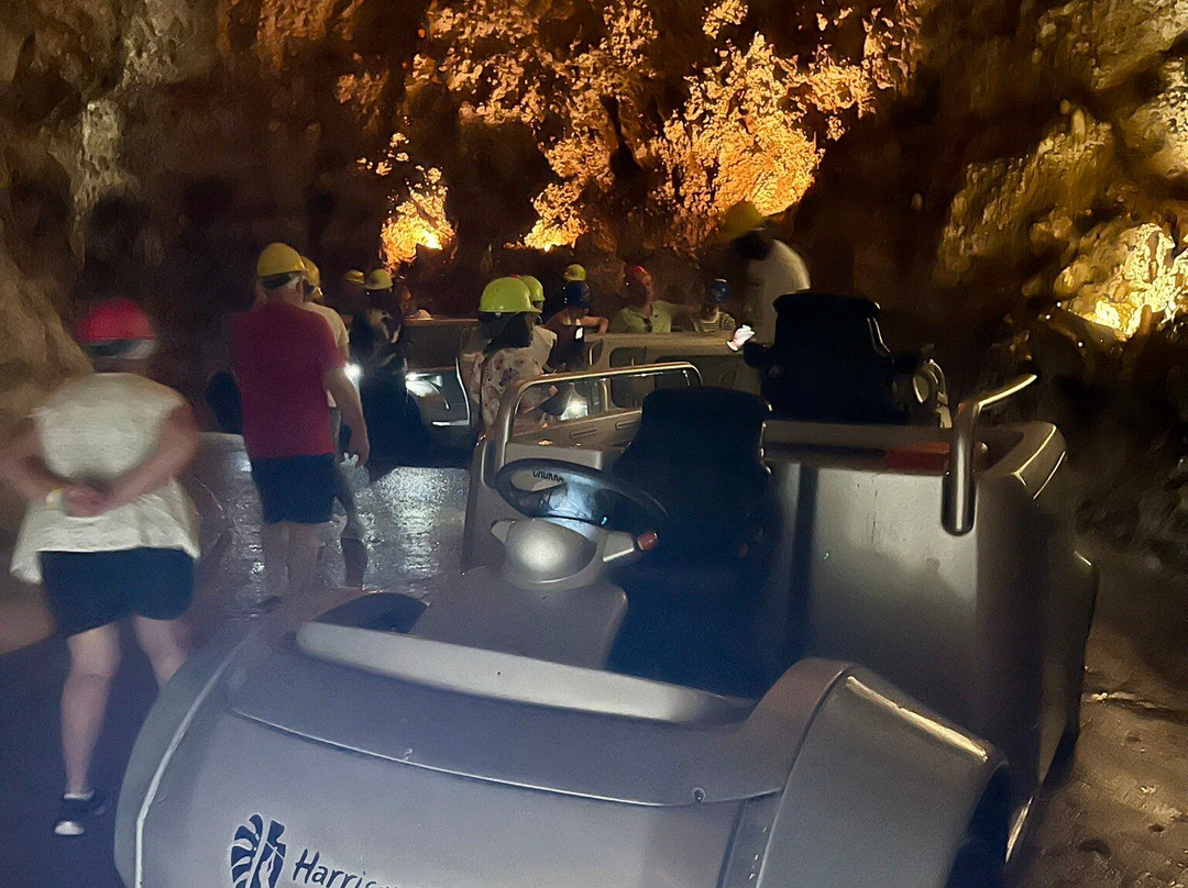 Harrison's Cave Eco-Adventure Park-Saint Thomas Parish必去景点