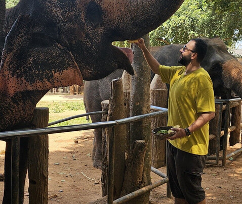 Paradise Kandy Taxi-康提必去景点