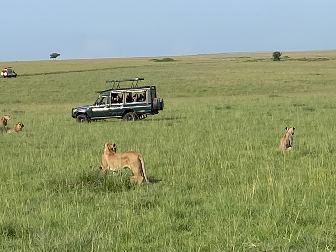 Safari Kenya Plus - Private Day Tour-马林地必去景点