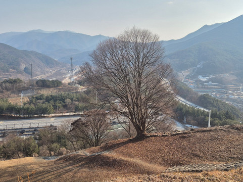Danyang Jeokseong Fortress
