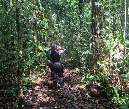 Parque Nacional Yasuni-Coca必去景点