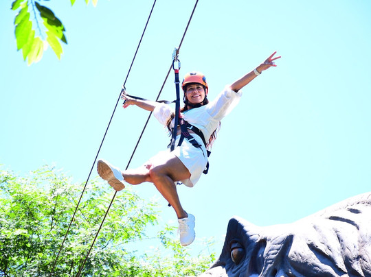 Dreams Park Show-伊瓜苏必去景点