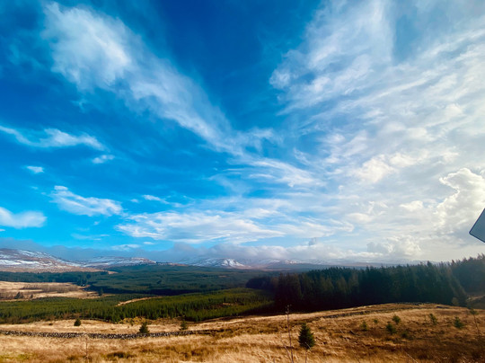 Galloway Distillery-Newton Stewart必去景点