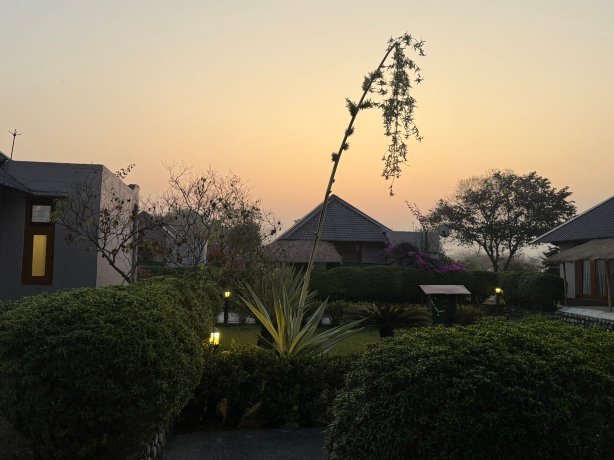 玛纳斯丛林度假屋-官方