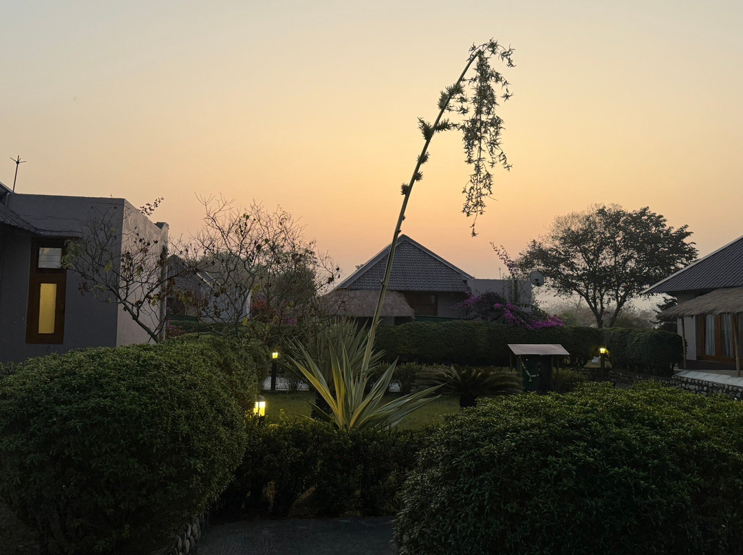 玛纳斯丛林度假屋主图