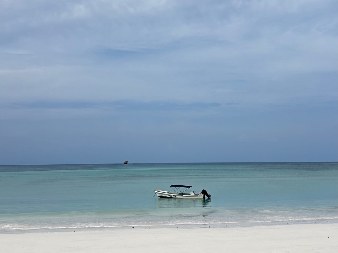 Alina Trips - Excursions en bateau depuis Nosy Komba et Nosy Be-Nosy Komba必去景点