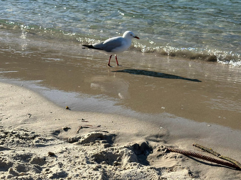 Tallebudgera Creek-Tallebudgera必去景点