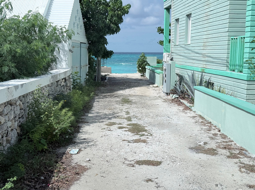 Papa J Tours-Cockburn Town必去景点