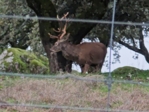 Lyncis Ecoturismo Y Medioambiente-Guarroman必去景点