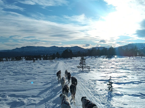 Trollheimen Husky-Rennebu Municipality必去景点