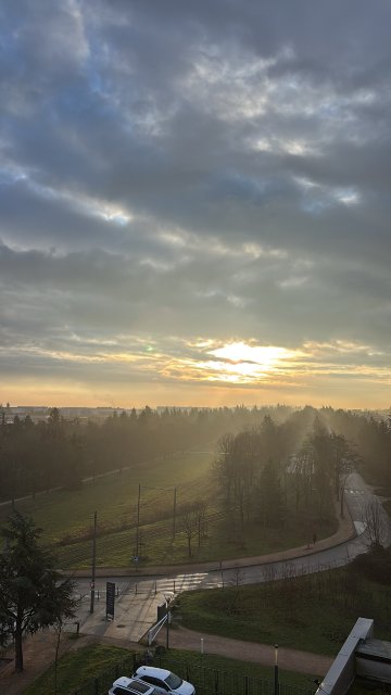 金色郁金香里昂酒店-酒店景观