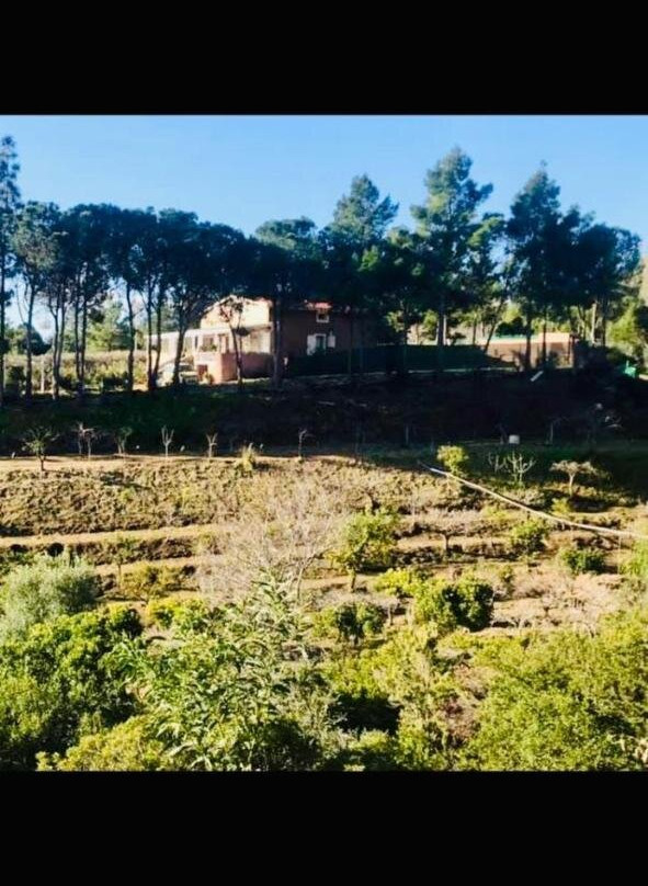 Agriturismo Medau Becciu