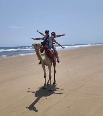 King Lion Tours And Safaris-瓦塔木必去景点