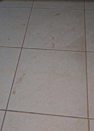 Village Resort主图