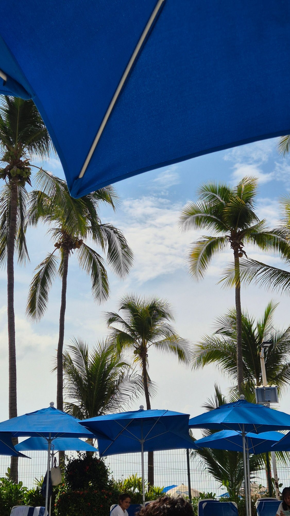 Ritz Acapulco-泳池